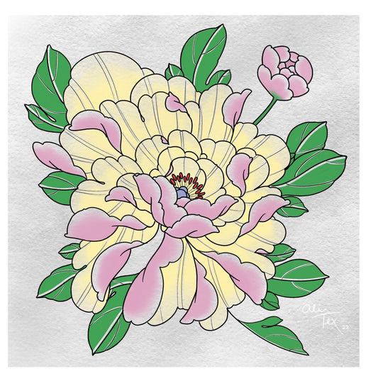 Pink Peony