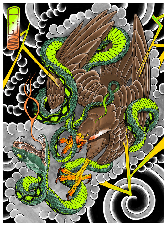 Snake and Hawk