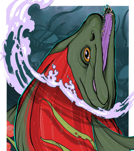 The Salmon