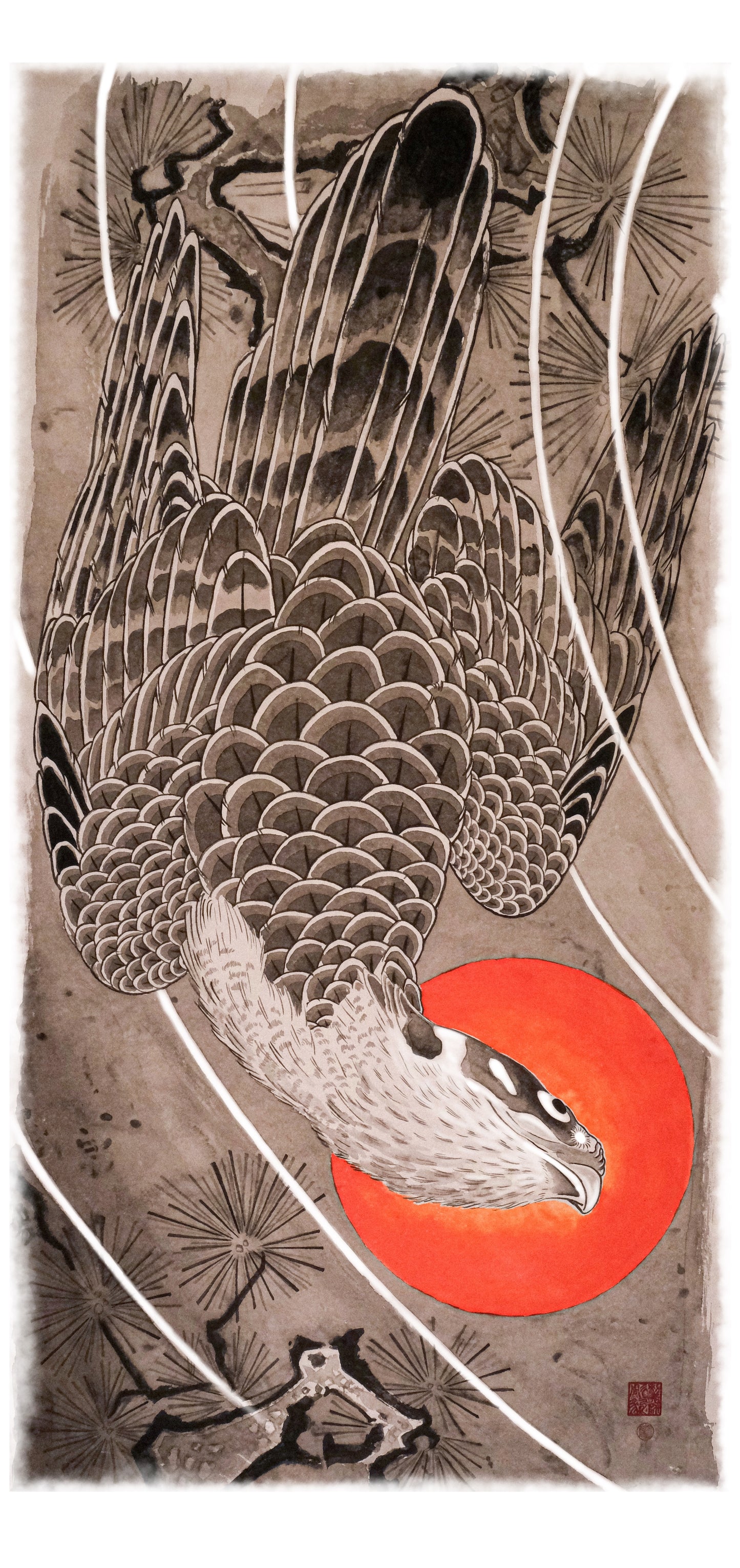 Hawk by Doug Fink