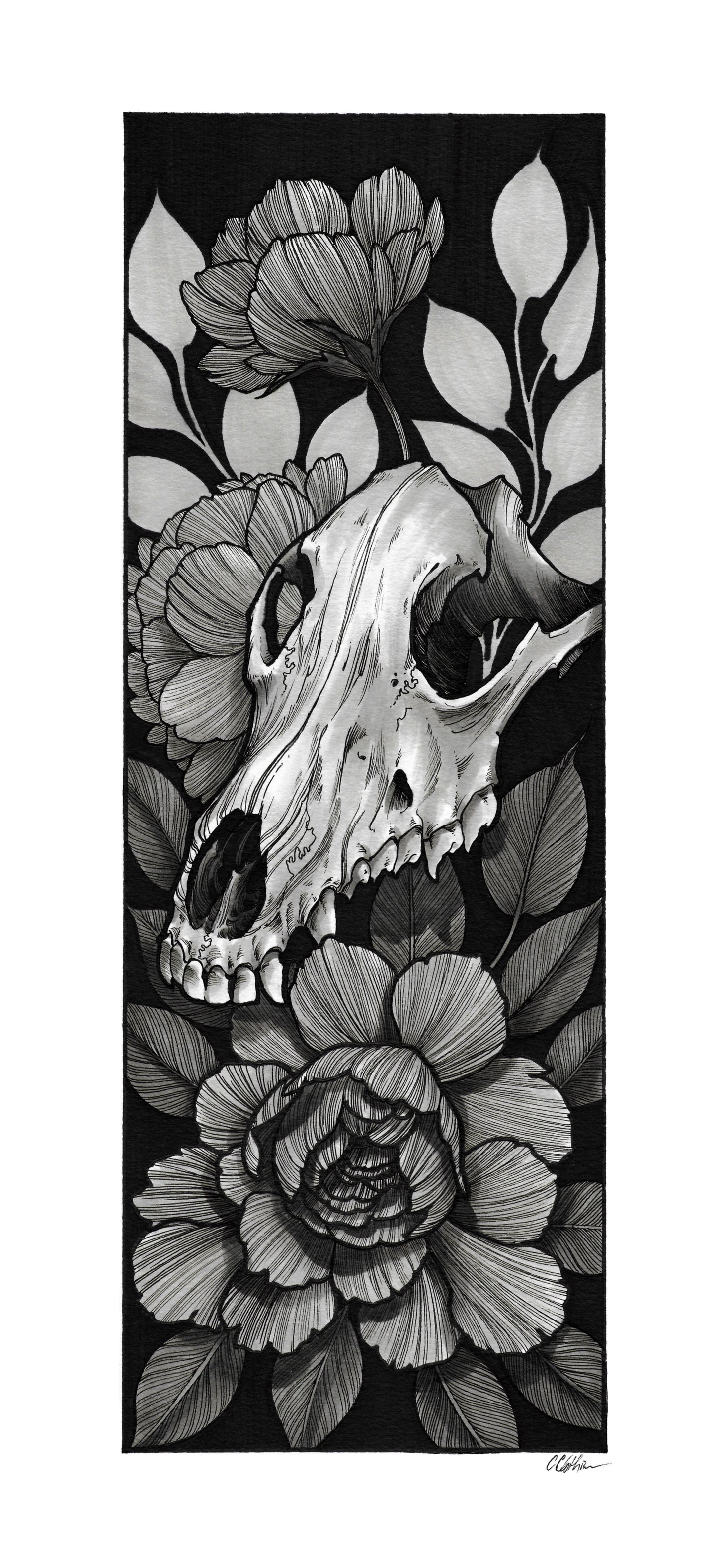 Skull and Flowers